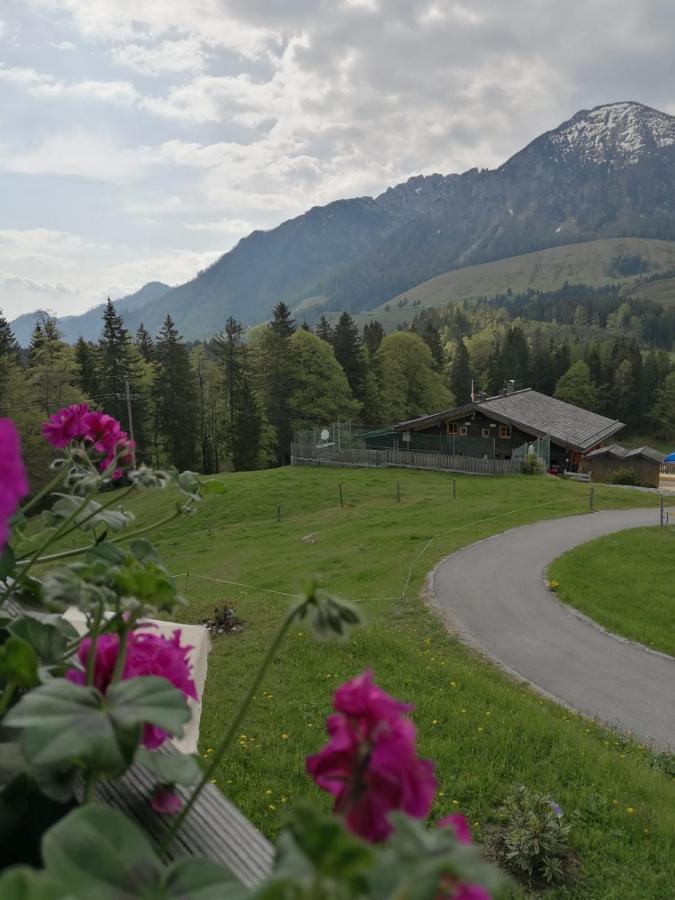 Haus Obweg - Postalm Hallein Exterior foto